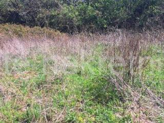 Građevinsko zemljište, Prodaja, Čavle, Čavle