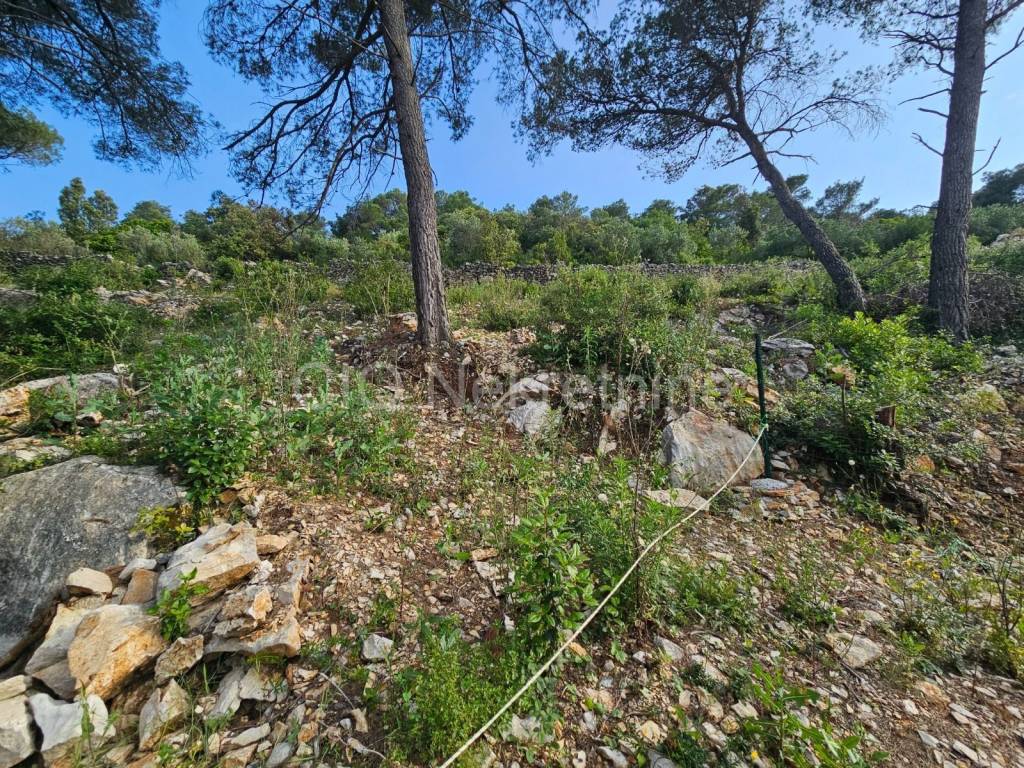 Građevinsko zemljište, Prodaja, Šolta, Grohote