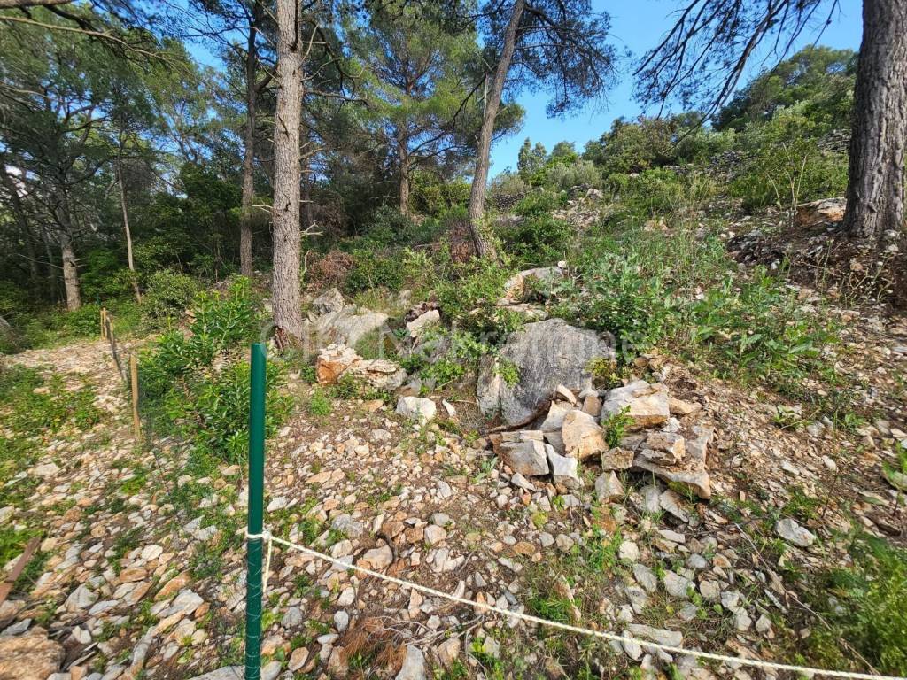 Građevinsko zemljište, Prodaja, Šolta, Grohote