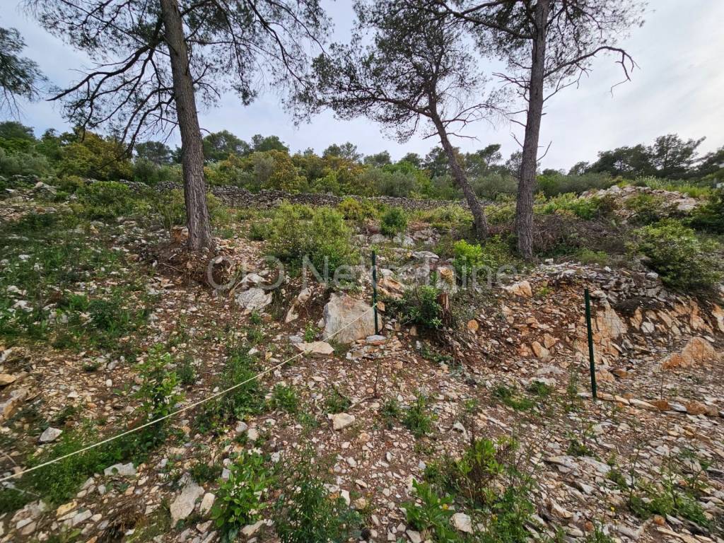 Građevinsko zemljište, Prodaja, Šolta, Grohote