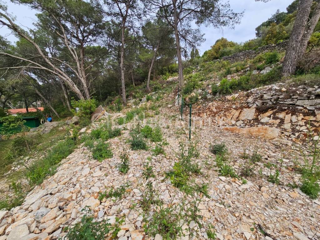 Građevinsko zemljište, Prodaja, Šolta, Grohote