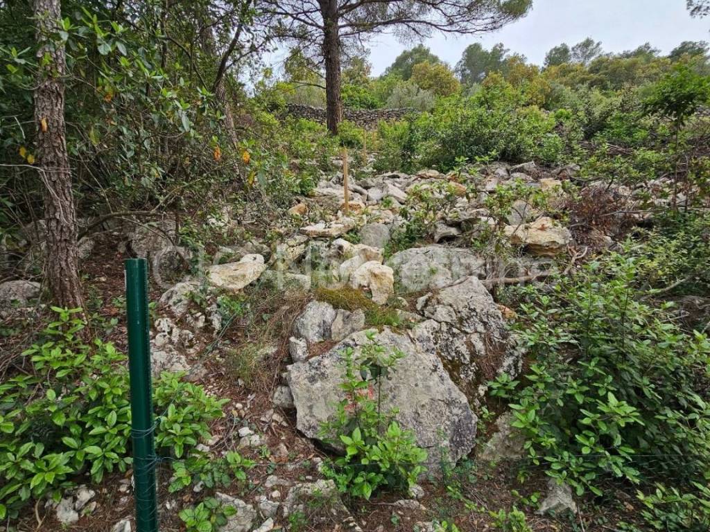 Građevinsko zemljište, Prodaja, Šolta, Grohote