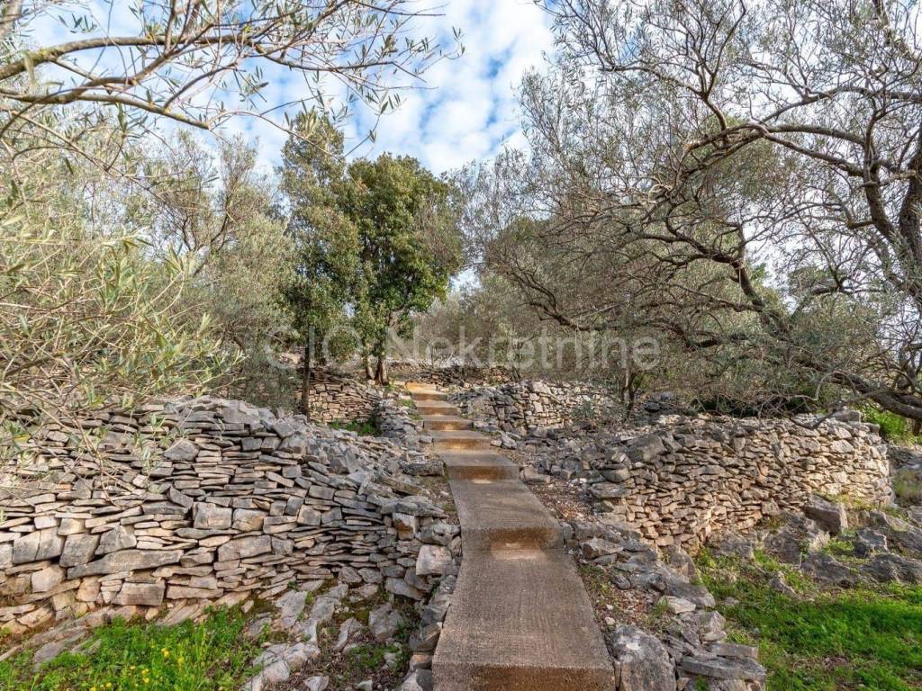 Kuća u nizu, Prodaja, Vela luka, Vela Luka