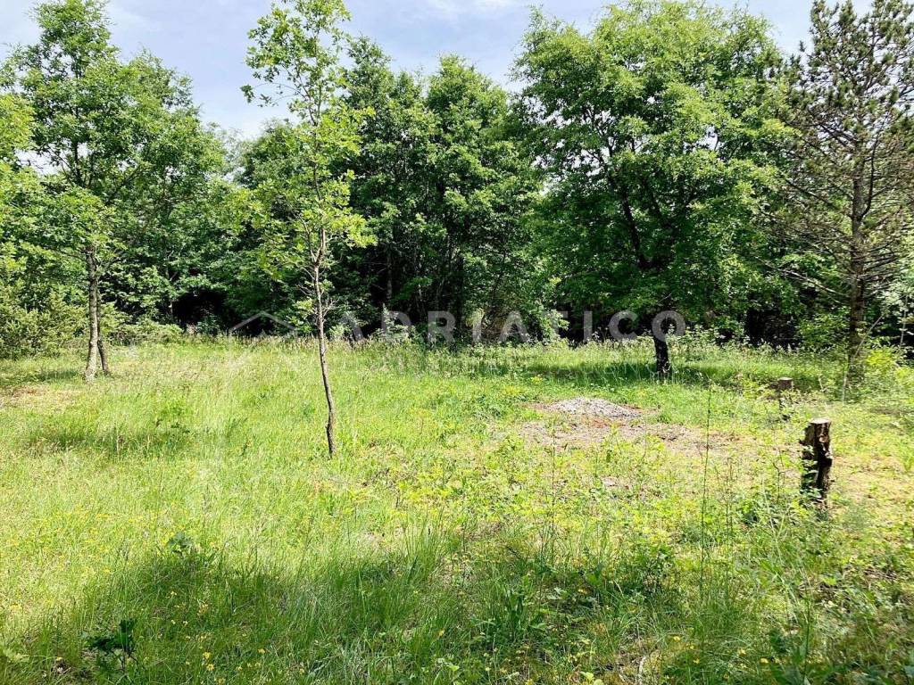 Poljoprivredno zemljište, Prodaja, Kanfanar, Mrgani