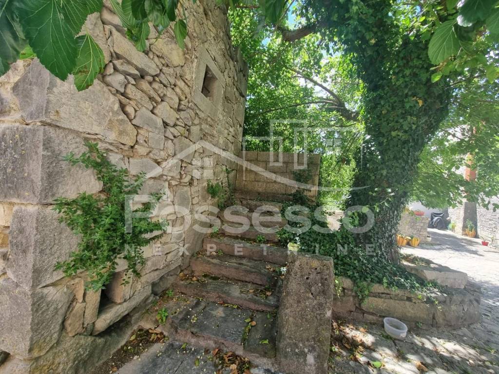 Buzet, Buzet