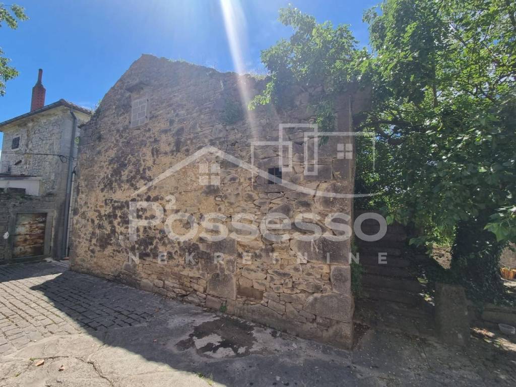 Buzet, Buzet