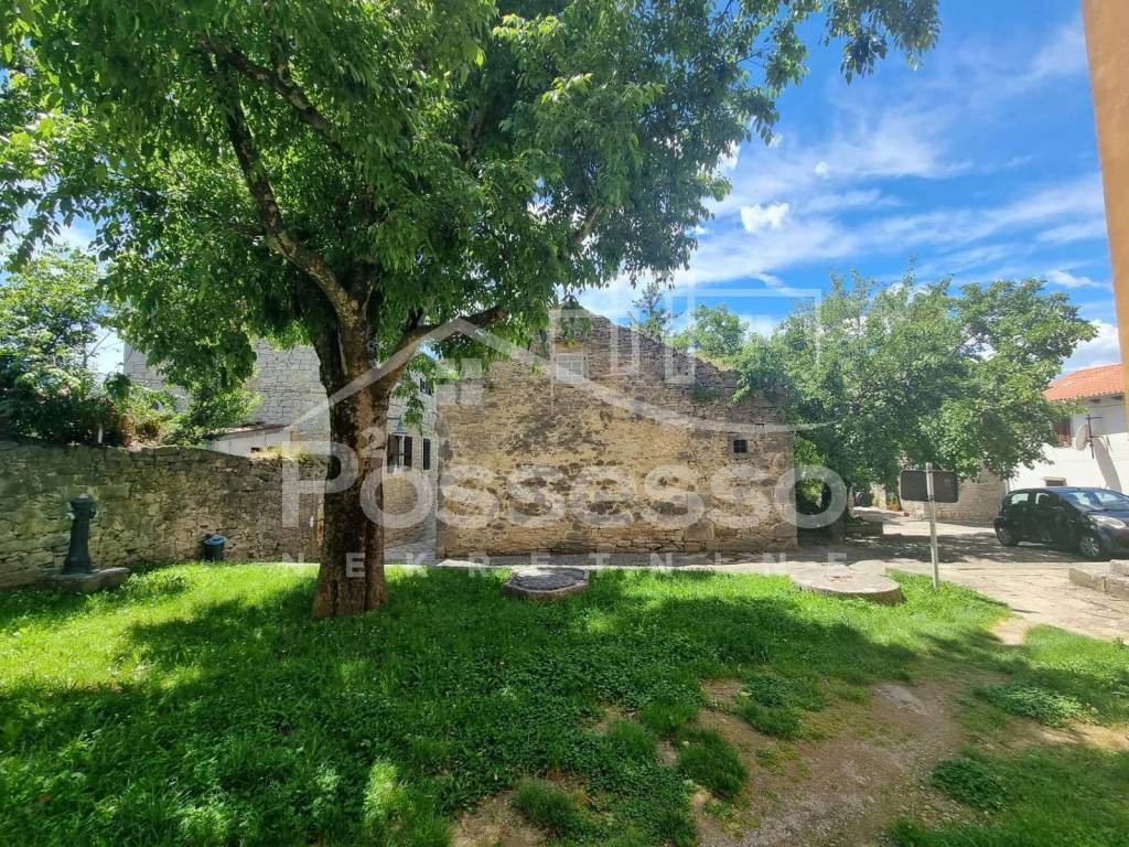 Buzet, Buzet