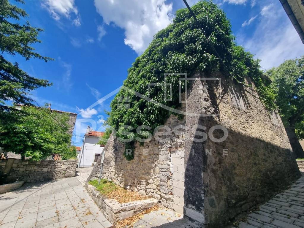 Buzet, Buzet
