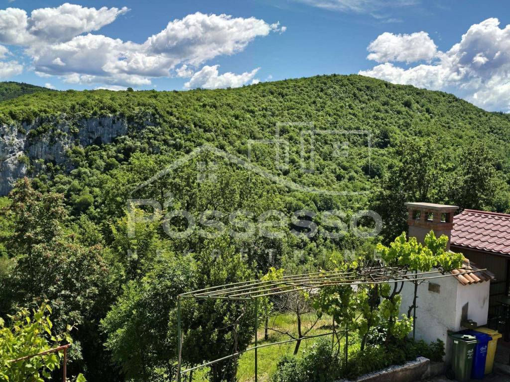 Buzet, Buzet