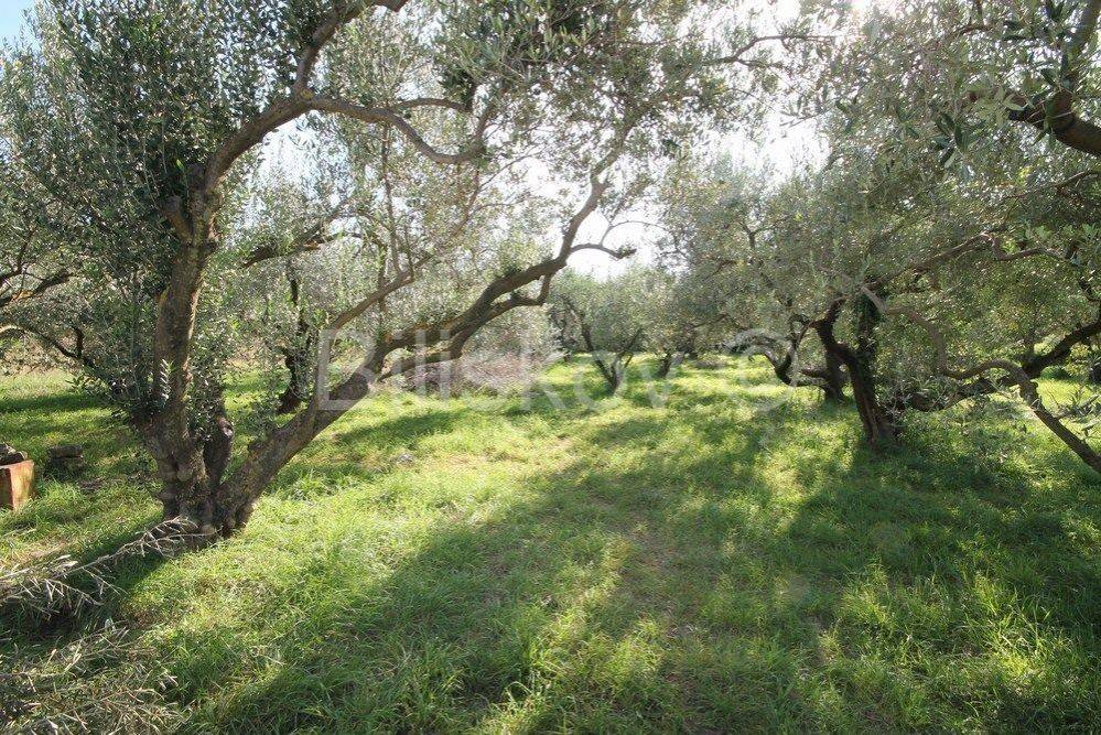 Građevinsko mješovito, Prodaja, Kaštela, Kaštel Sućurac