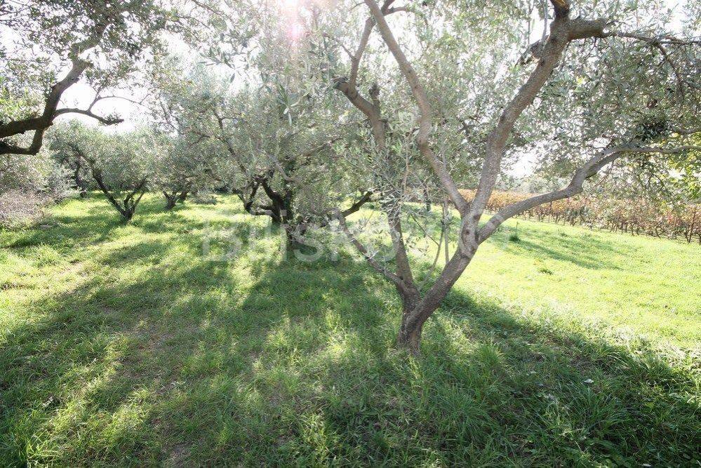 Građevinsko mješovito, Prodaja, Kaštela, Kaštel Sućurac