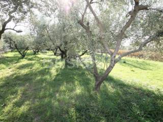 Građevinsko mješovito, Prodaja, Kaštela, Kaštel Sućurac