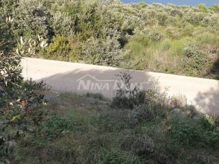 Poljoprivredno zemljište, Prodaja, Vir, Vir