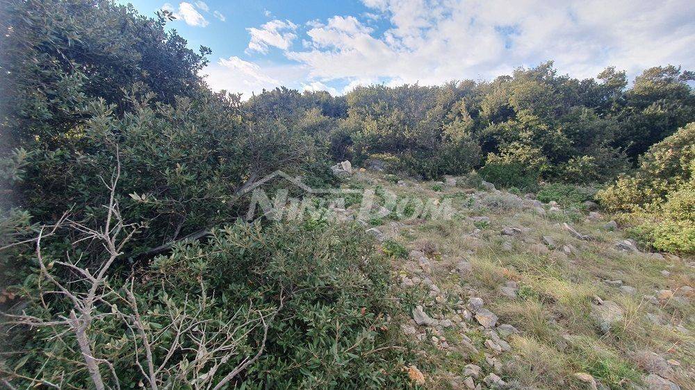 Poljoprivredno zemljište, Prodaja, Vir, Vir
