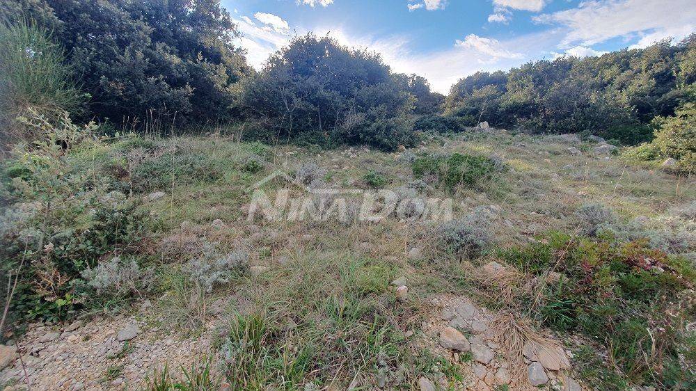 Poljoprivredno zemljište, Prodaja, Vir, Vir