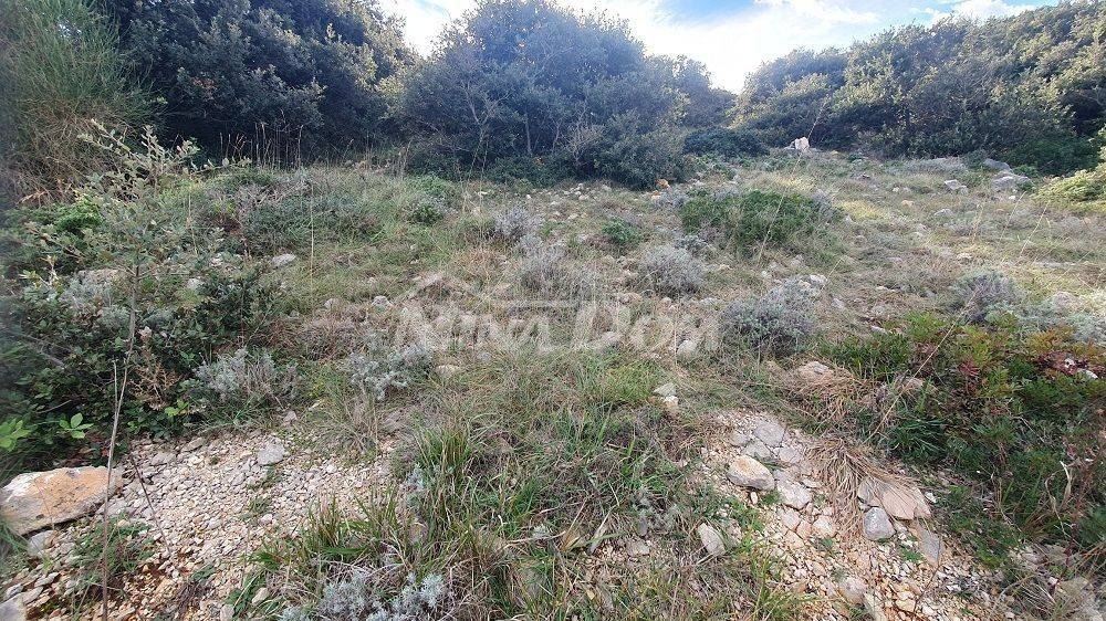 Poljoprivredno zemljište, Prodaja, Vir, Vir