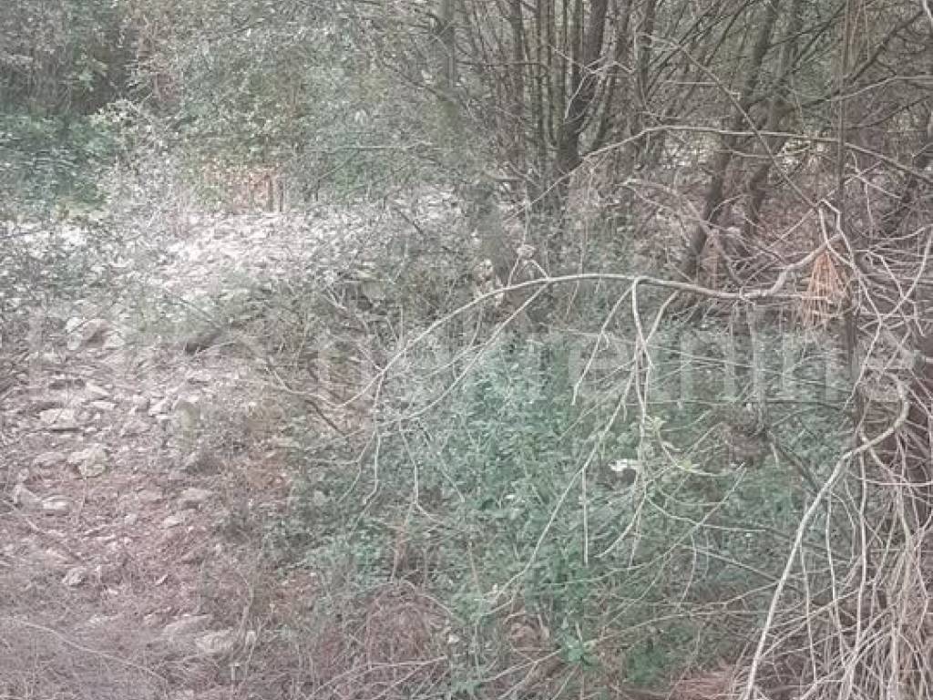 Poljoprivredno zemljište, Prodaja, Mali Lošinj, Ćunski