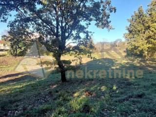 Gradevinsko zemljište, Prodaja, Barban, Rebici