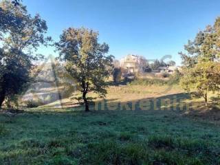 Gradevinsko zemljište, Prodaja, Barban, Rebici