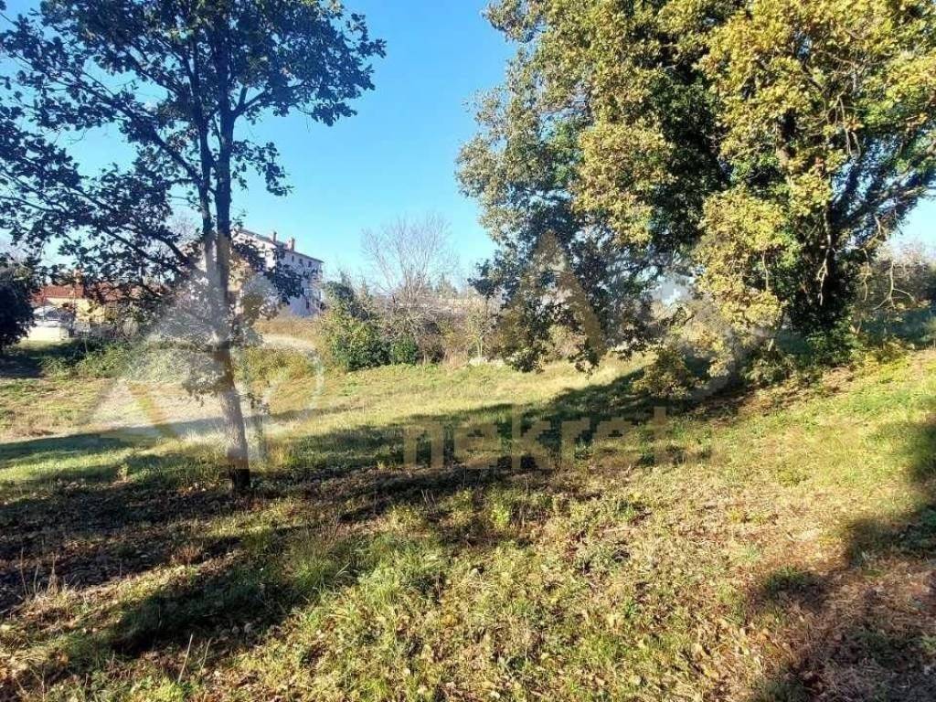 Gradevinsko zemljište, Prodaja, Barban, Rebici