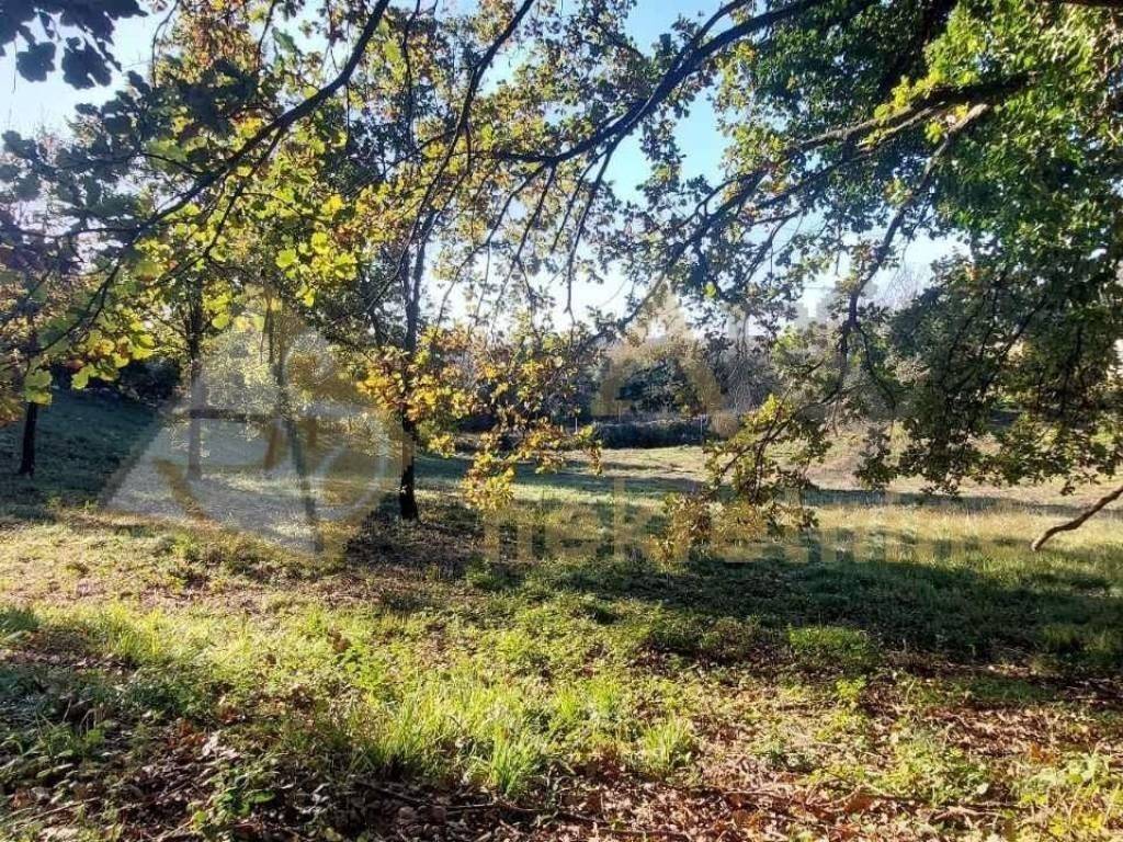 Gradevinsko zemljište, Prodaja, Barban, Rebici