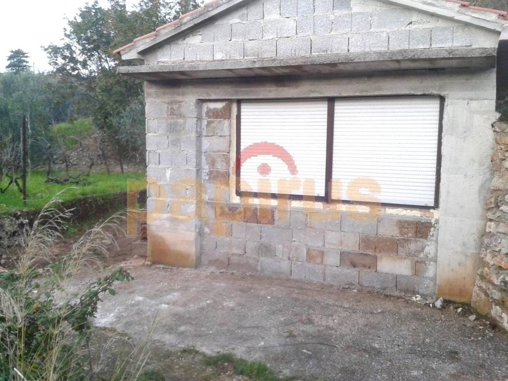 Sali, Dragove