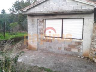 Sali, Dragove