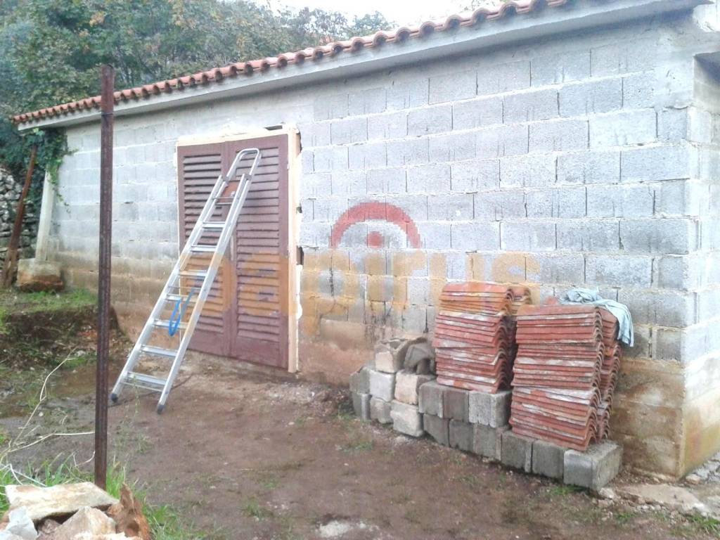 Sali, Dragove