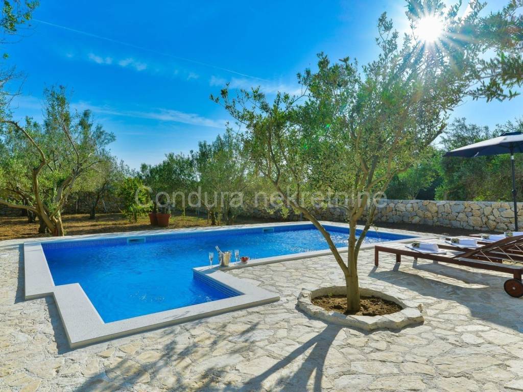 Vila, Prodaja, Privlaka, Privlaka