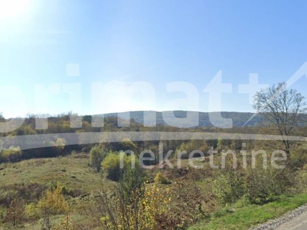 Šuma, Prodaja, Tounj, Tržić Tounjski