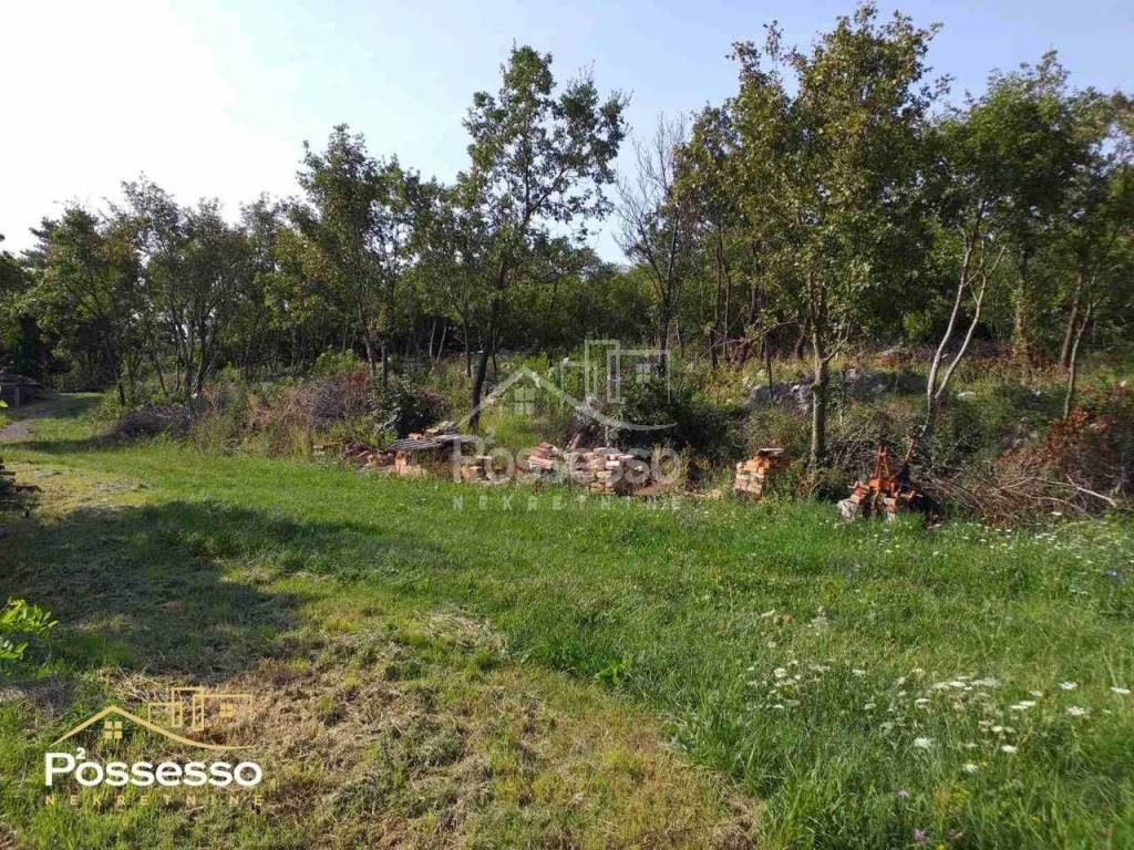 Buzet, Ročko Polje