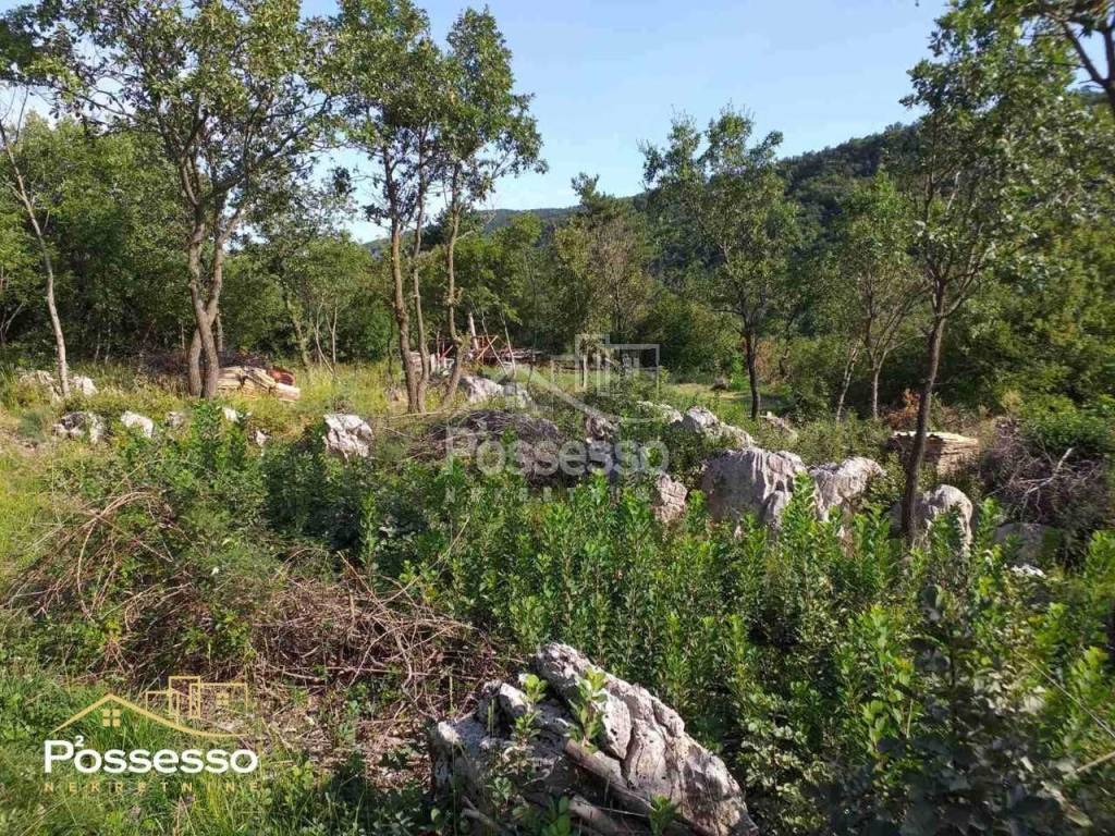 Buzet, Ročko Polje