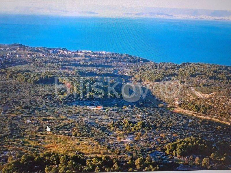 Poljoprivredno zemljište, Prodaja, Supetar, Supetar