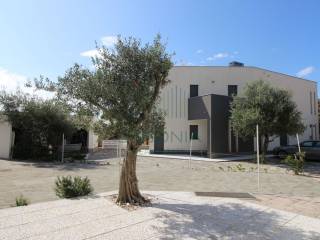 Apartmanska kuća, Prodaja, Pag, Košljun