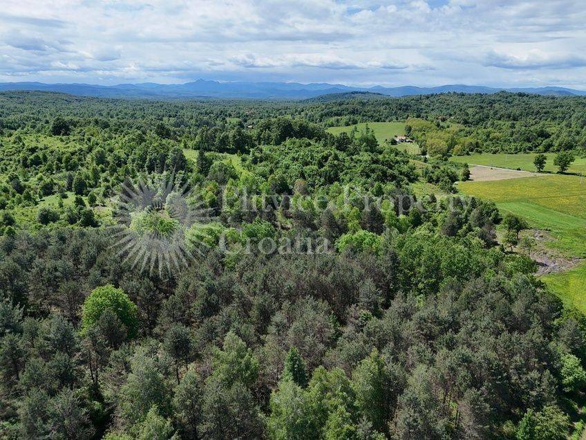 Obiteljska kuća, Prodaja, Barilovići, Svojić
