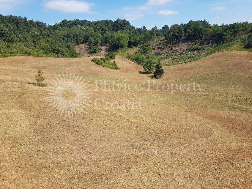 Poljoprivredno zemljište, Prodaja, Slunj, Cvijanović Brdo