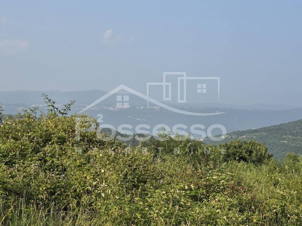 Buzet, Sovinjak