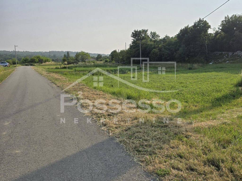 Buzet, Ročko Polje