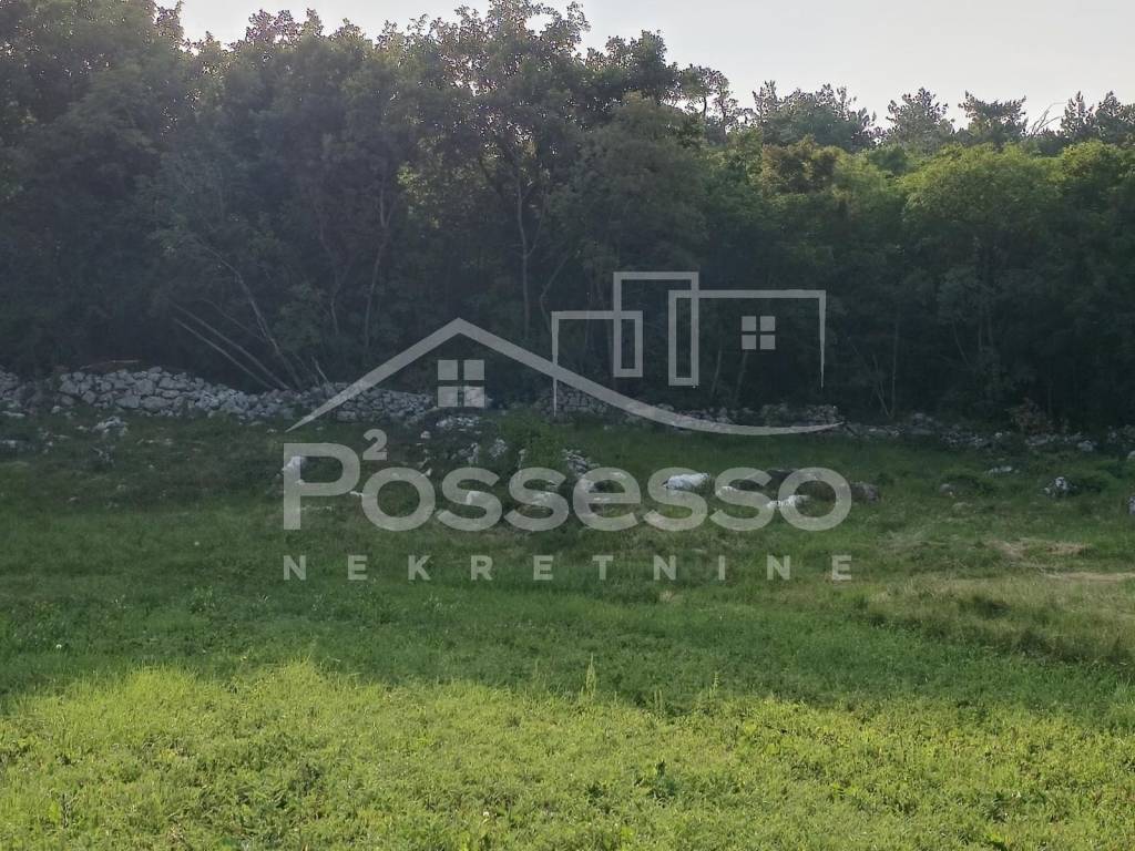 Buzet, Ročko Polje
