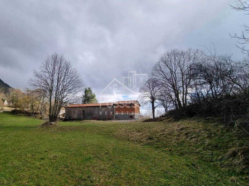 Buzet, Buzet