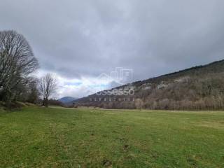 Buzet, Buzet
