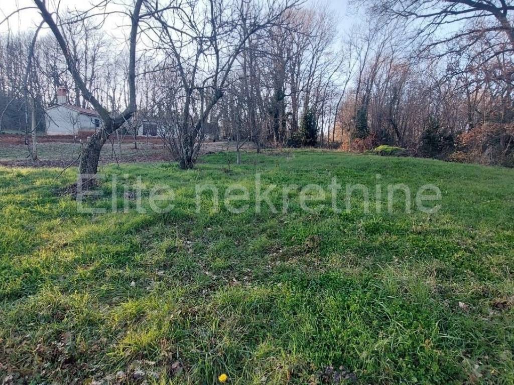 Građevinsko zemljište, Prodaja, Barban, Melnica