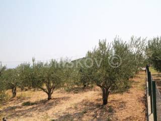 Poljoprivredno zemljište, Prodaja, Kaštela, Kaštel Novi