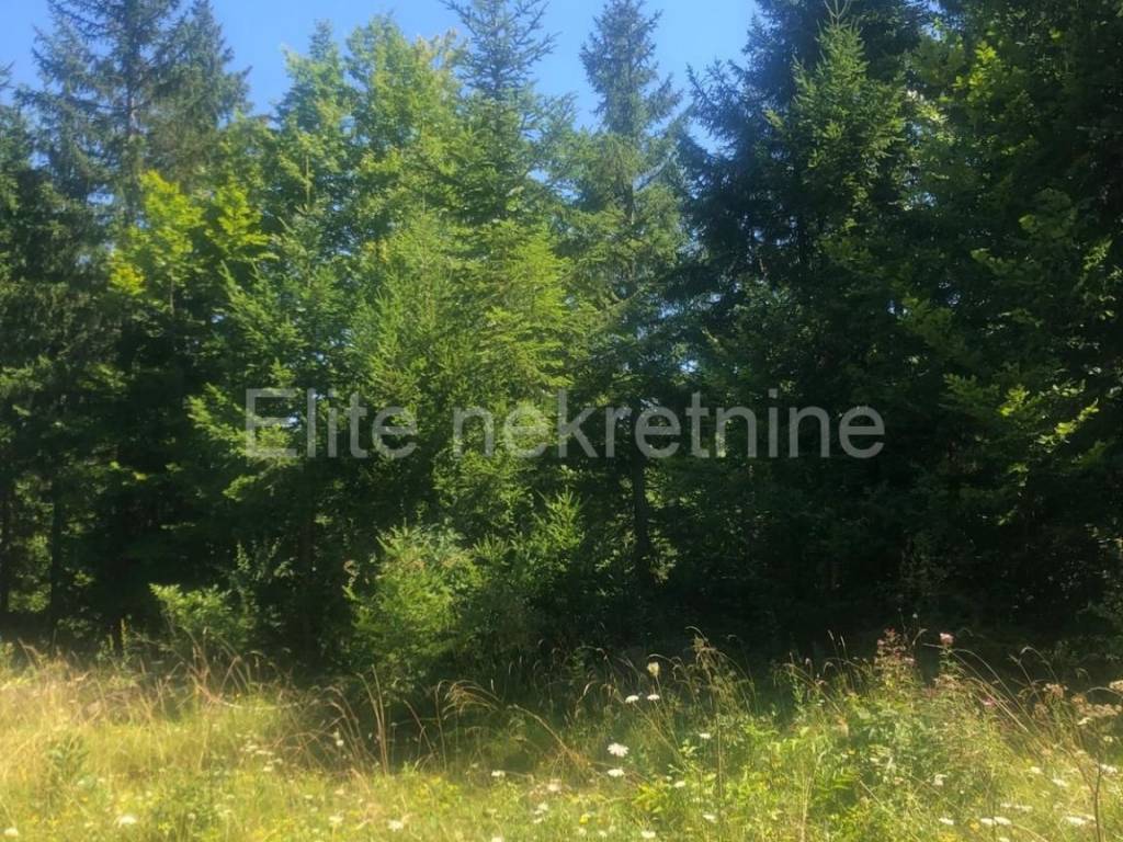 Građevinsko zemljište, Prodaja, Čabar, Tršće