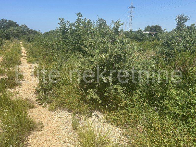 Poljoprivredno zemljište, Prodaja, Vodnjan, Peroj