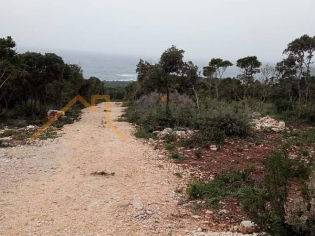 Poljoprivredno zemljište, Prodaja, Marčana, Kavran