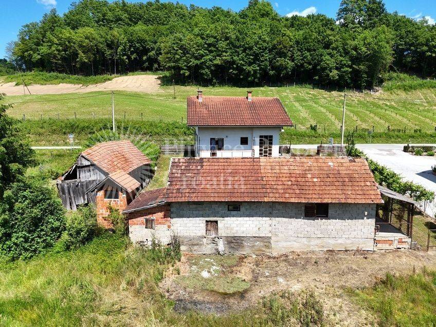 Obiteljska kuća, Prodaja, Krnjak, Krnjak