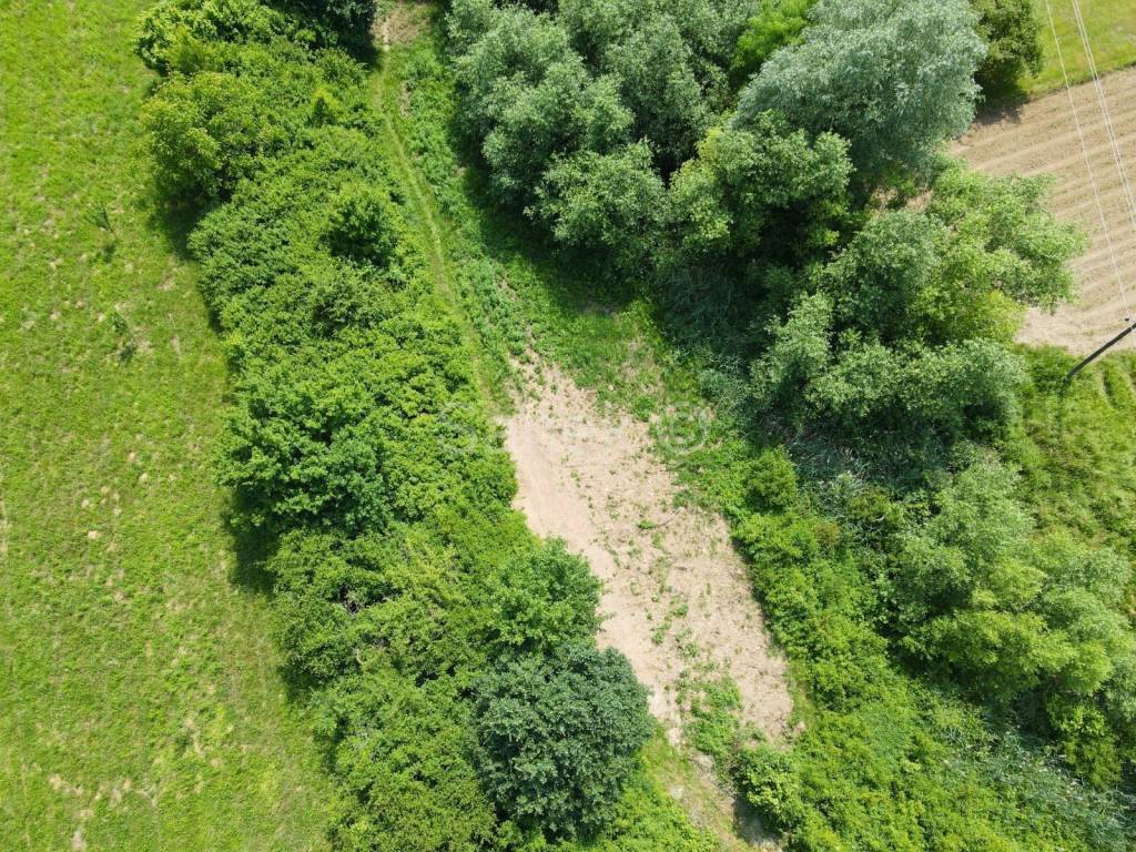 Poljoprivredno zemljište, Prodaja, Jastrebarsko - Okolica, Sveta Jana
