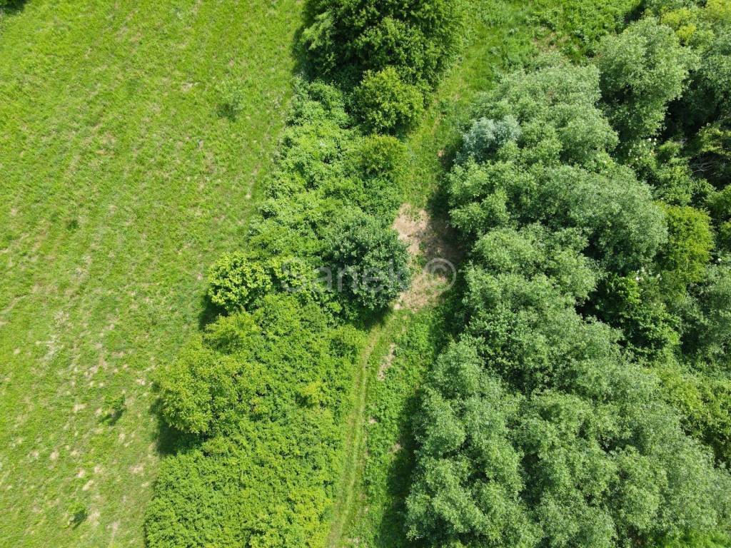 Poljoprivredno zemljište, Prodaja, Jastrebarsko - Okolica, Sveta Jana