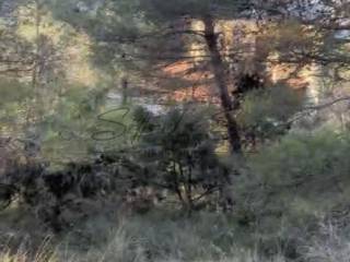 Građevinsko mješovito, Prodaja, Primošten, Primošten